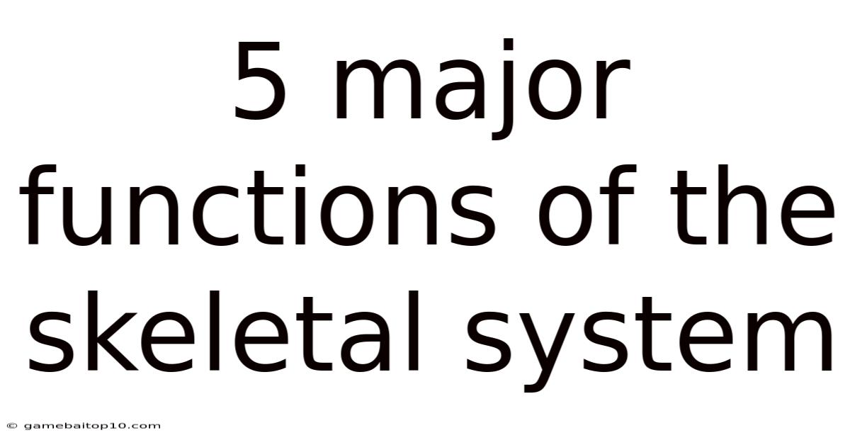 5 Major Functions Of The Skeletal System