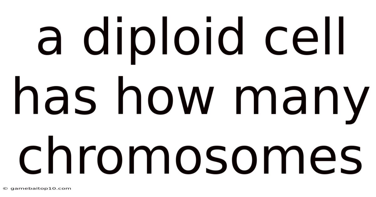 A Diploid Cell Has How Many Chromosomes