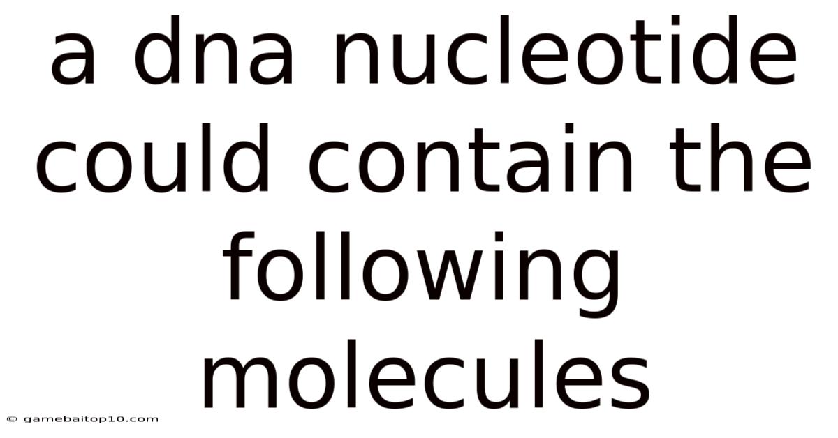 A Dna Nucleotide Could Contain The Following Molecules