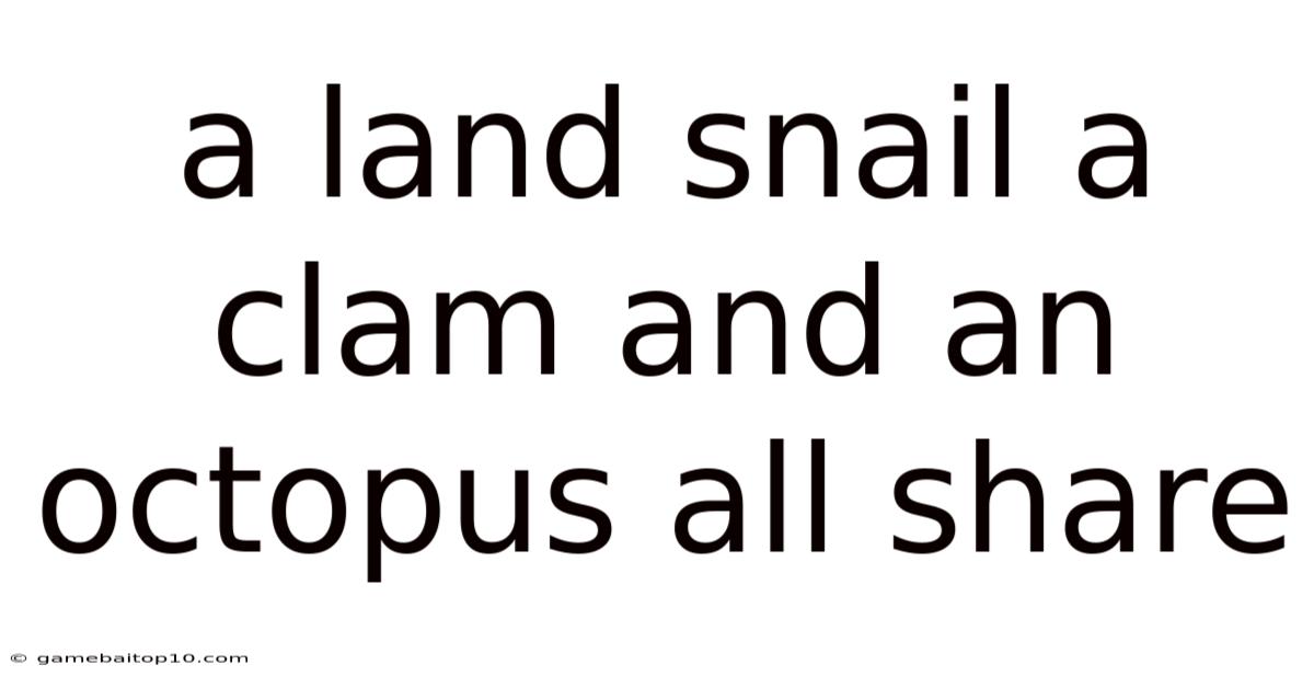 A Land Snail A Clam And An Octopus All Share