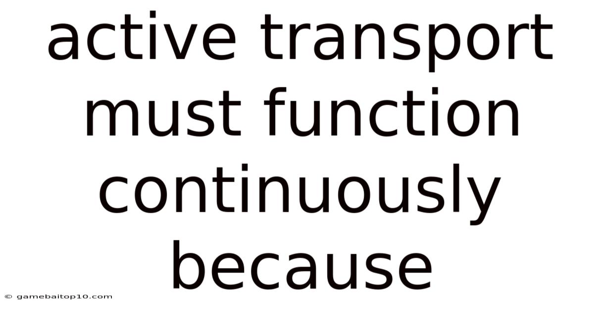 Active Transport Must Function Continuously Because