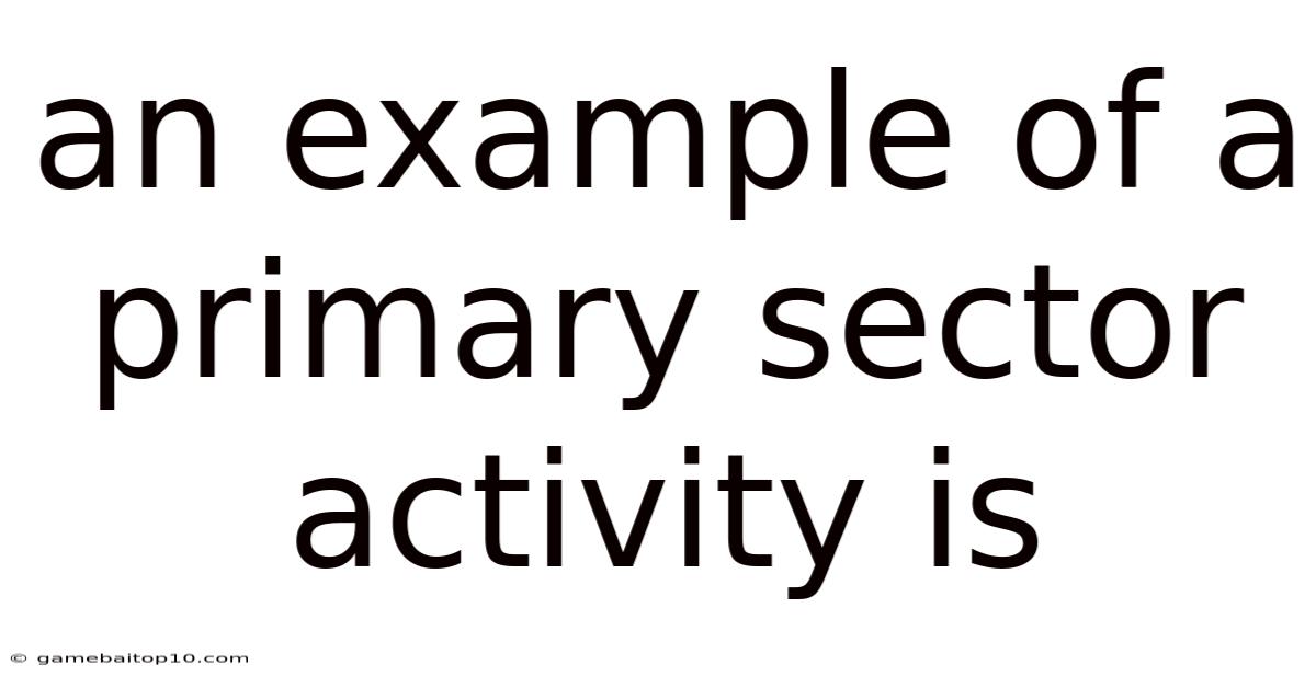 An Example Of A Primary Sector Activity Is