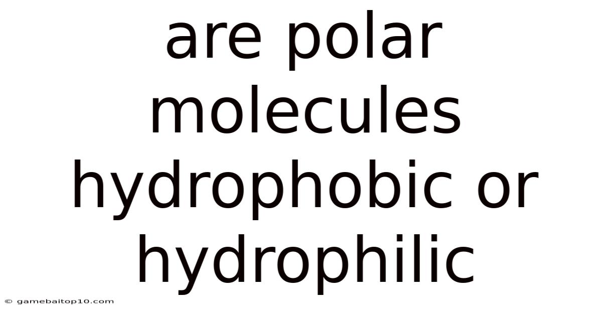 Are Polar Molecules Hydrophobic Or Hydrophilic