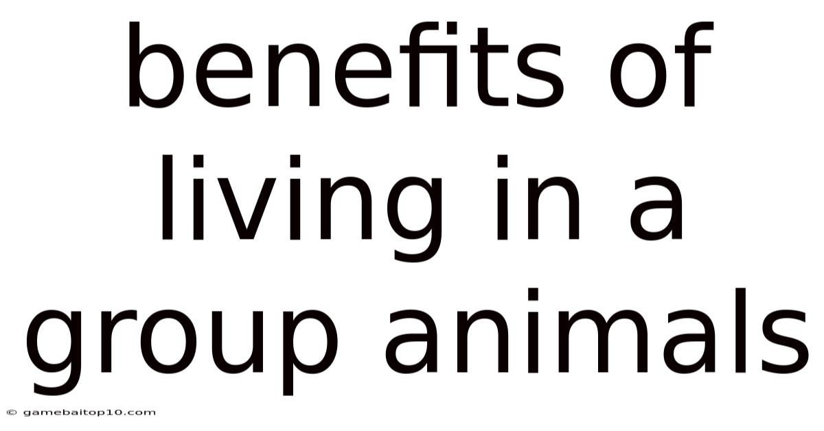 Benefits Of Living In A Group Animals