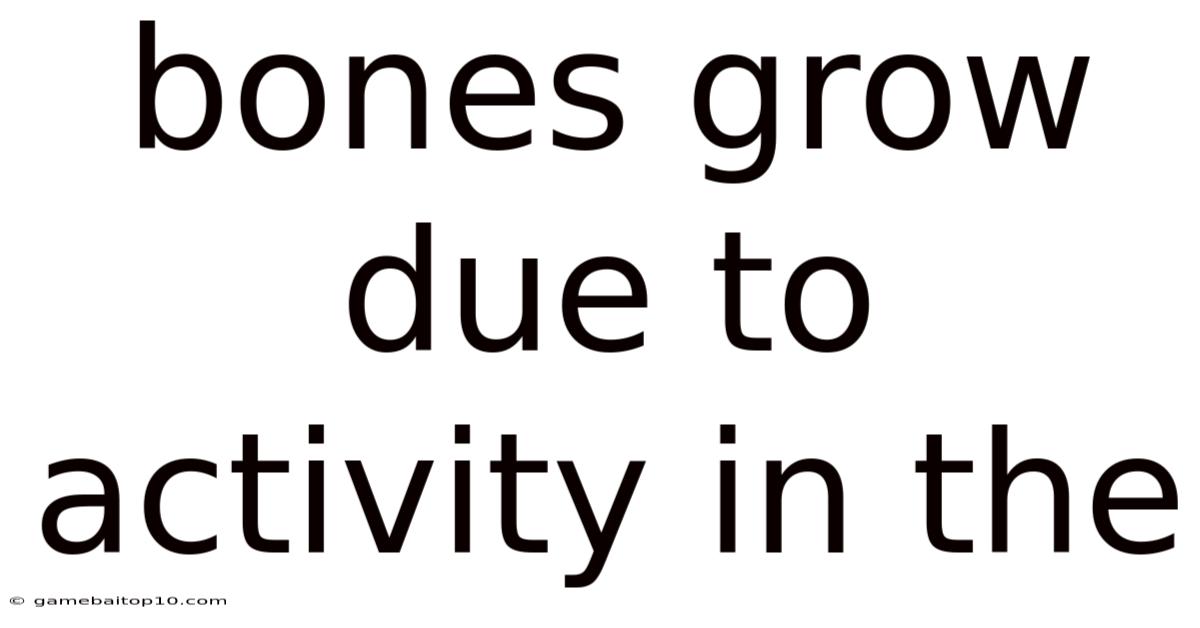 Bones Grow Due To Activity In The