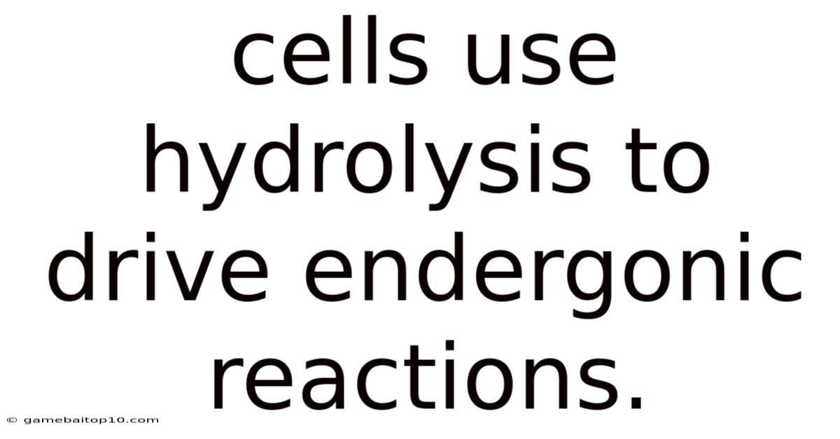 Cells Use Hydrolysis To Drive Endergonic Reactions.