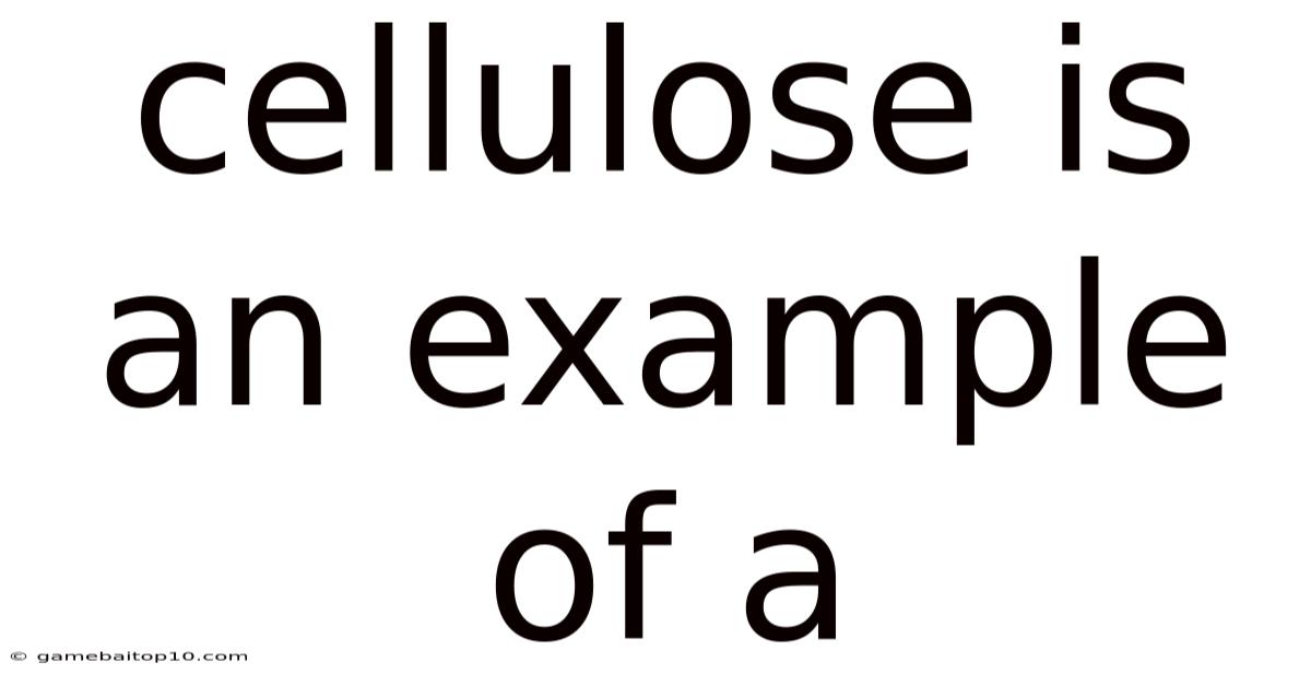 Cellulose Is An Example Of A
