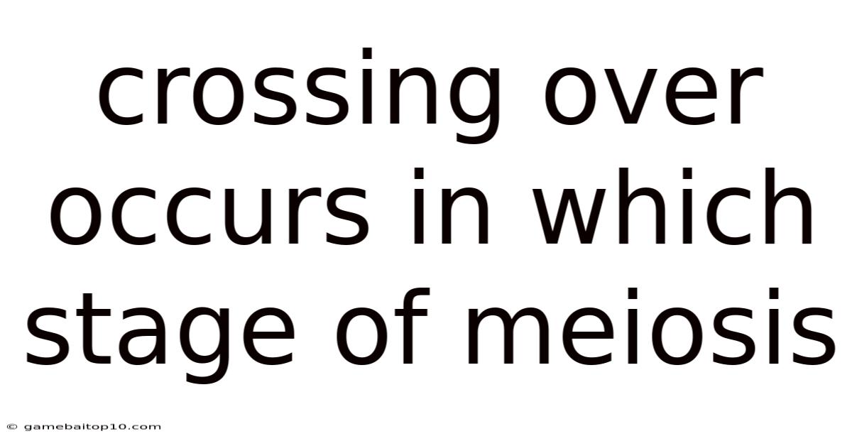Crossing Over Occurs In Which Stage Of Meiosis