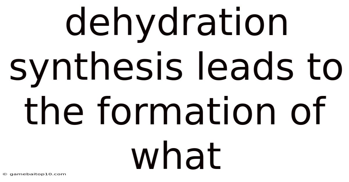 Dehydration Synthesis Leads To The Formation Of What