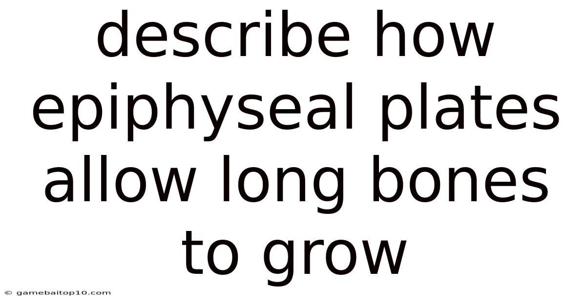 Describe How Epiphyseal Plates Allow Long Bones To Grow