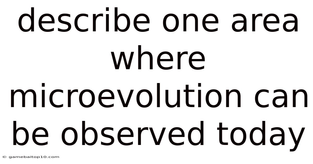 Describe One Area Where Microevolution Can Be Observed Today