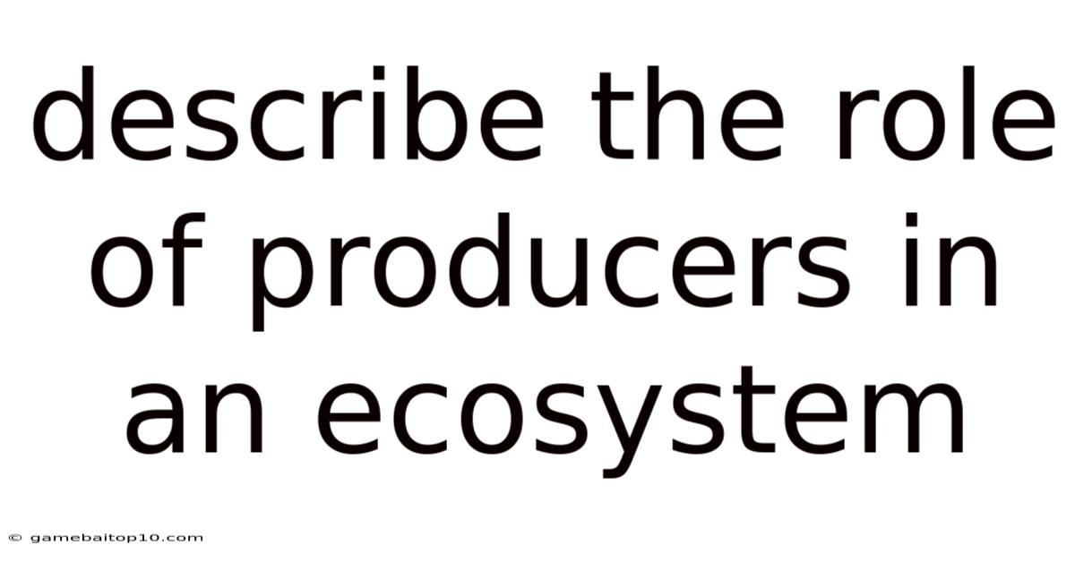 Describe The Role Of Producers In An Ecosystem