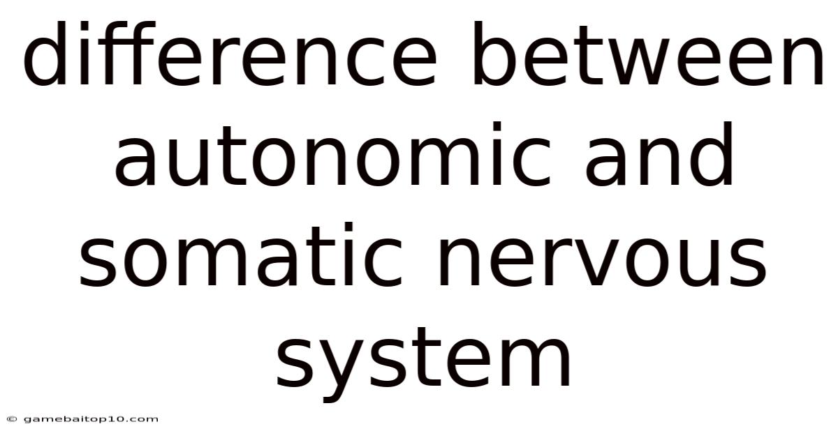 Difference Between Autonomic And Somatic Nervous System