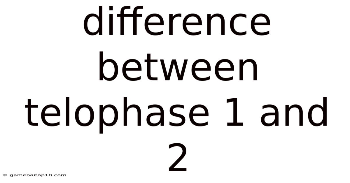 Difference Between Telophase 1 And 2