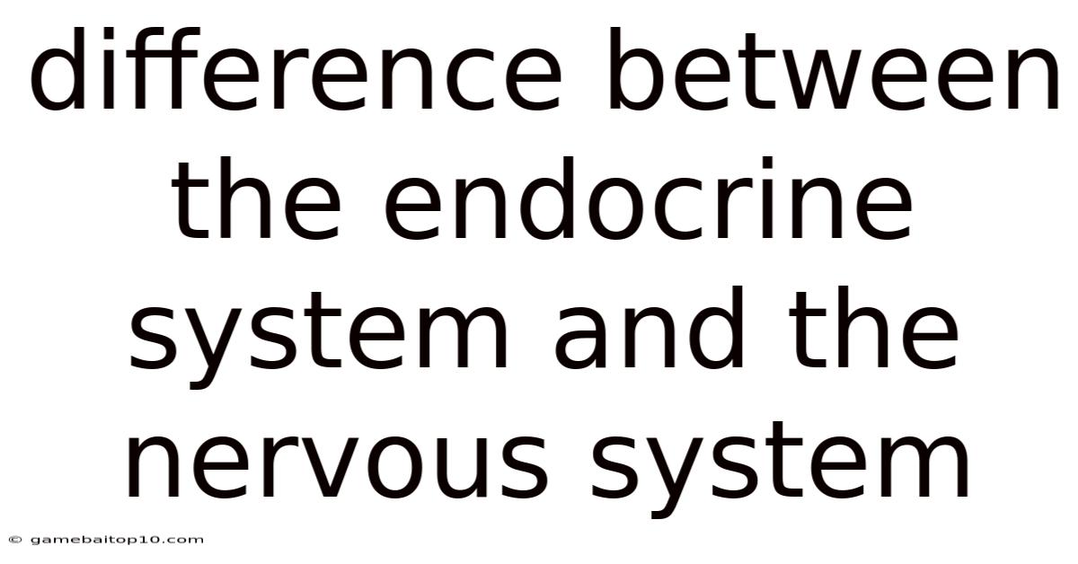 Difference Between The Endocrine System And The Nervous System