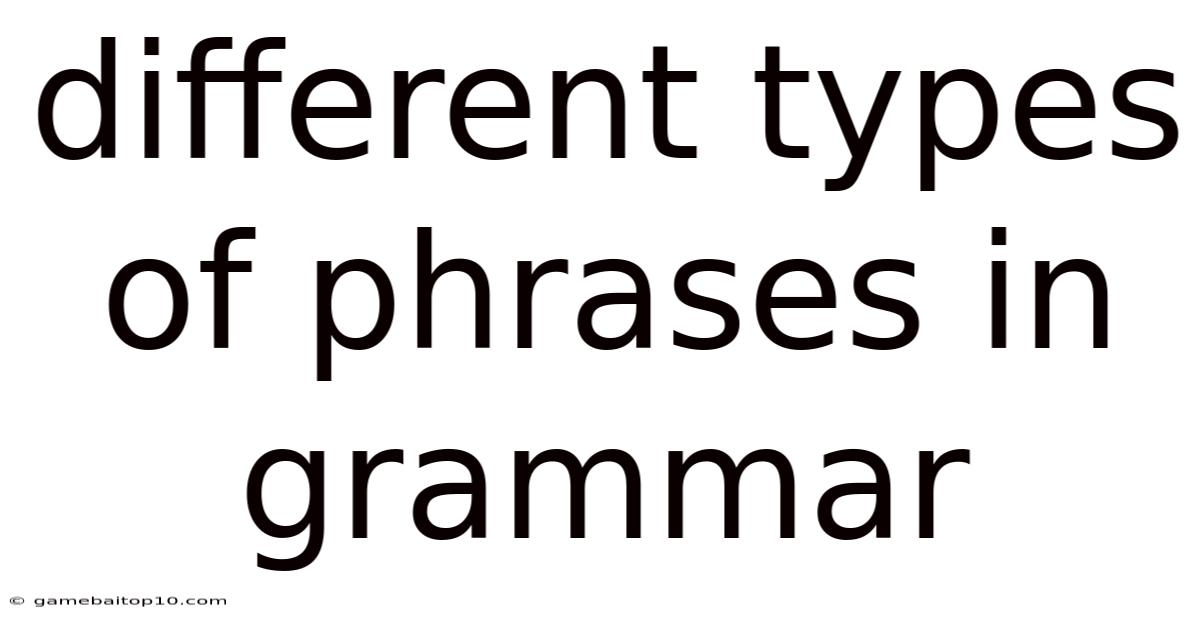 Different Types Of Phrases In Grammar