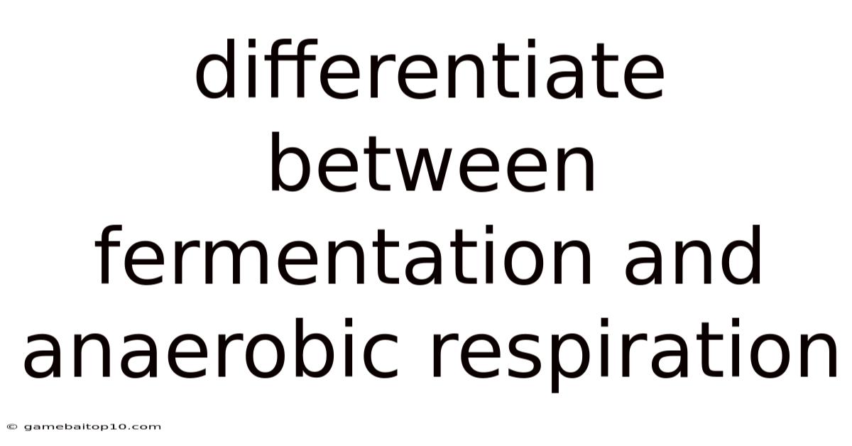 Differentiate Between Fermentation And Anaerobic Respiration