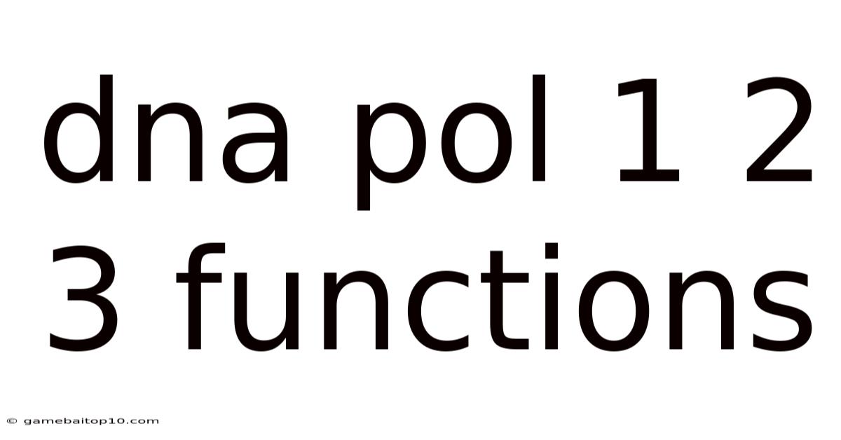 Dna Pol 1 2 3 Functions