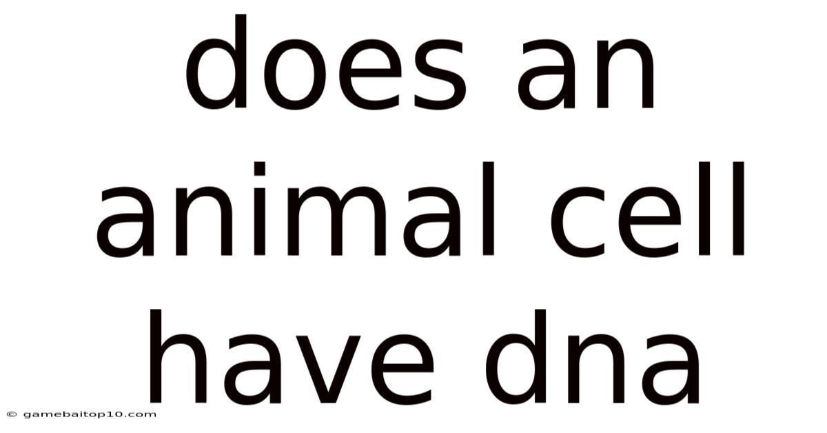 Does An Animal Cell Have Dna