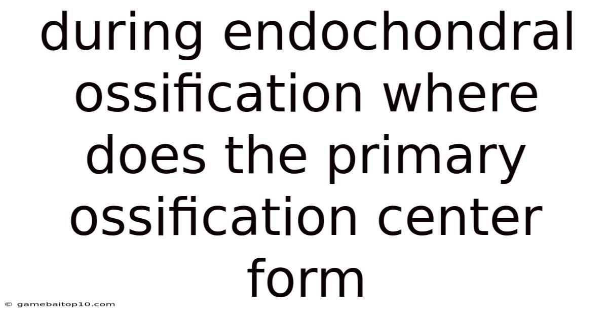 During Endochondral Ossification Where Does The Primary Ossification Center Form