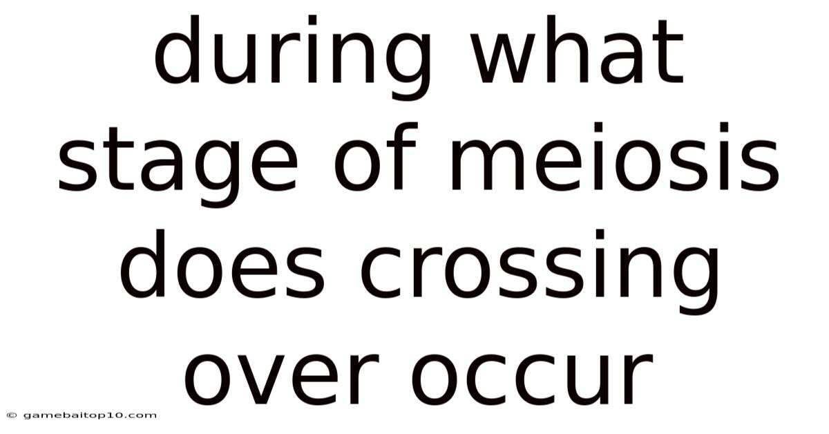 During What Stage Of Meiosis Does Crossing Over Occur