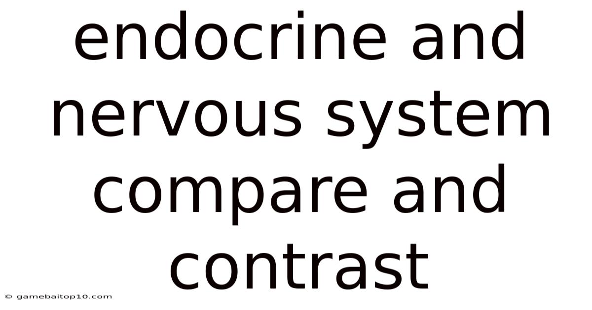 Endocrine And Nervous System Compare And Contrast