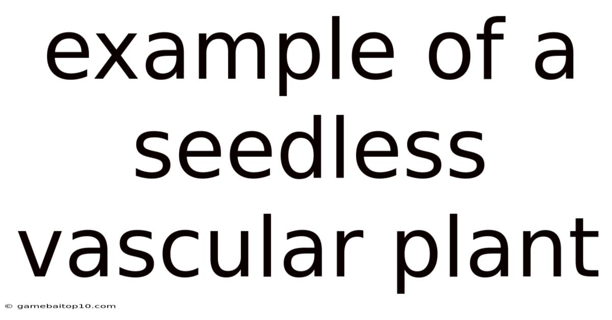 Example Of A Seedless Vascular Plant