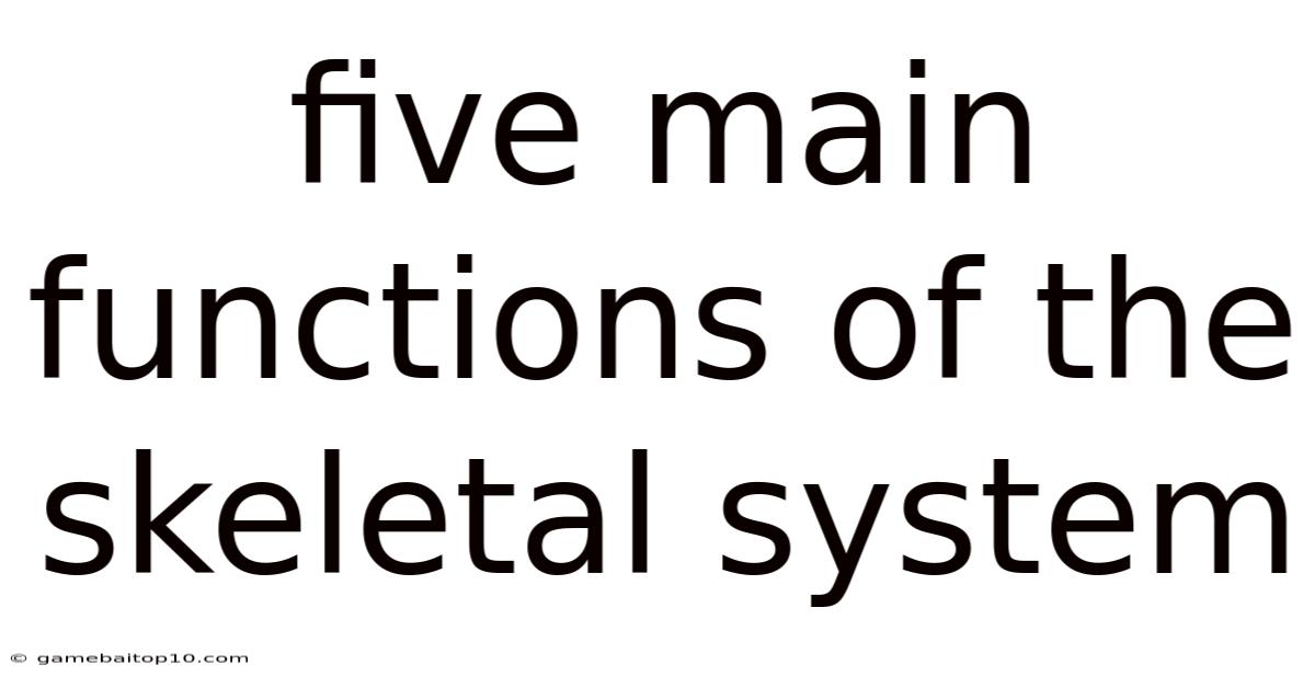 Five Main Functions Of The Skeletal System