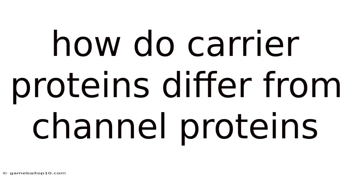 How Do Carrier Proteins Differ From Channel Proteins