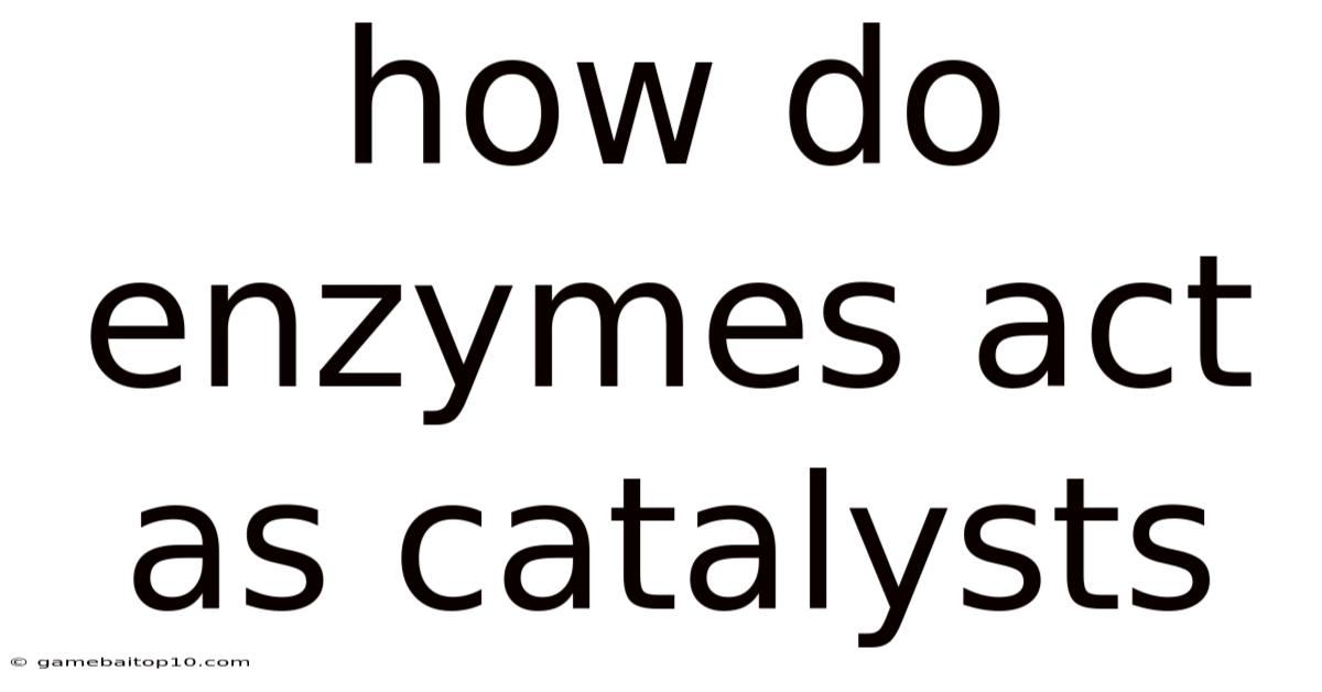 How Do Enzymes Act As Catalysts