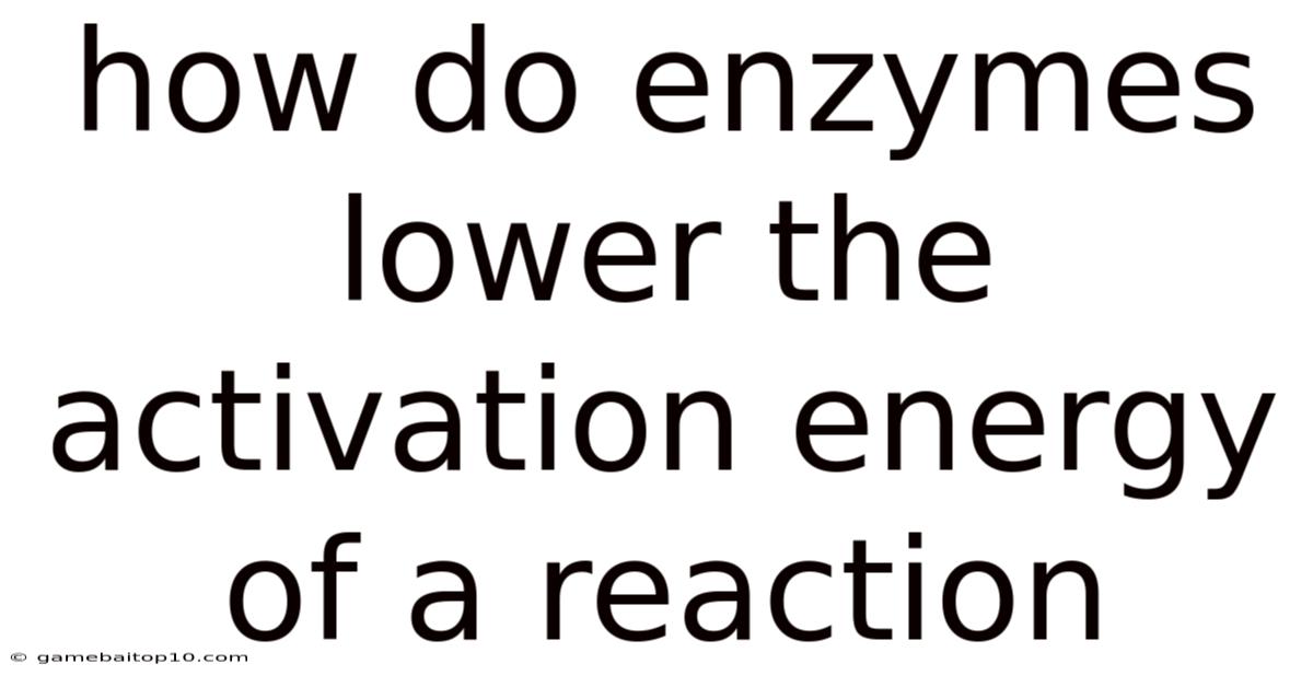How Do Enzymes Lower The Activation Energy Of A Reaction