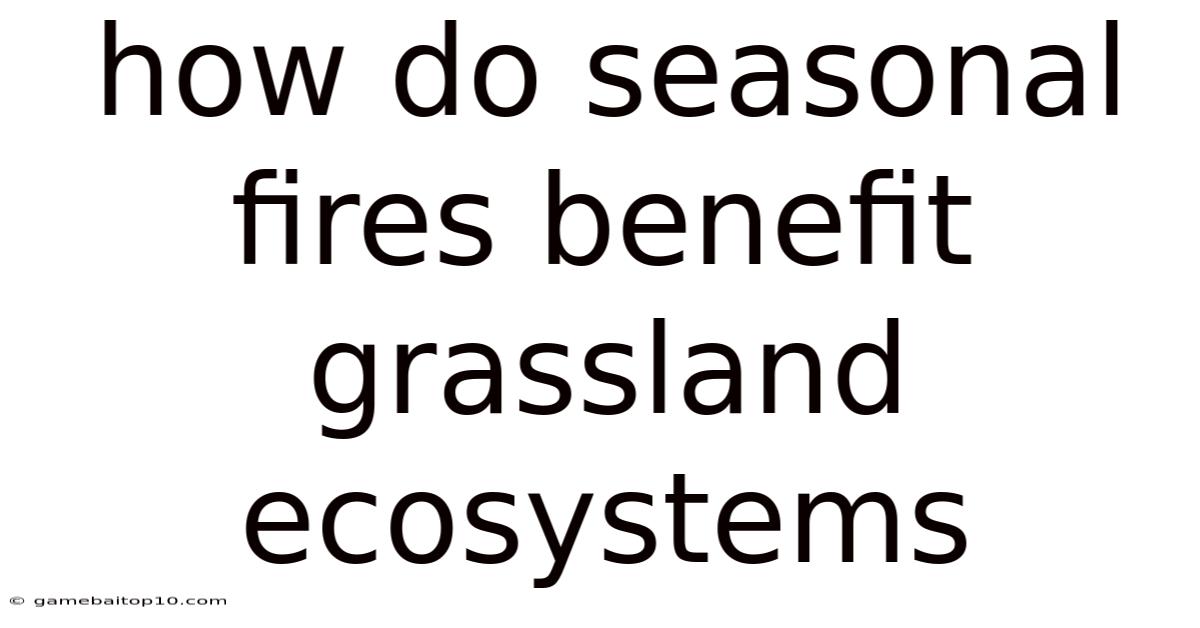 How Do Seasonal Fires Benefit Grassland Ecosystems