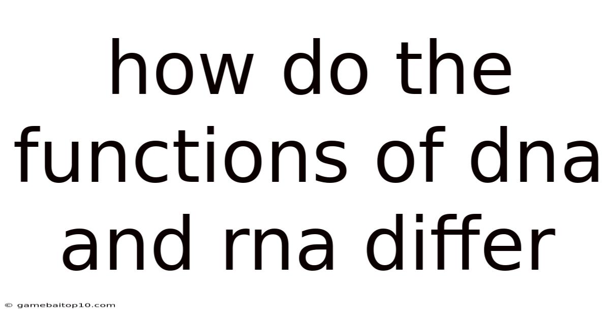 How Do The Functions Of Dna And Rna Differ