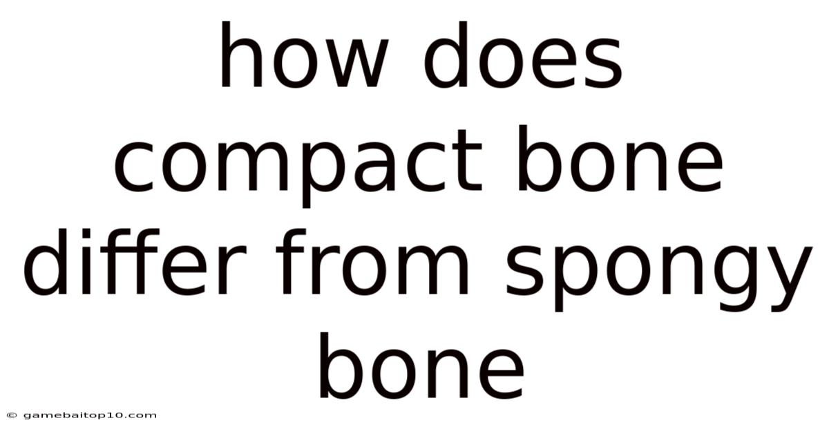 How Does Compact Bone Differ From Spongy Bone