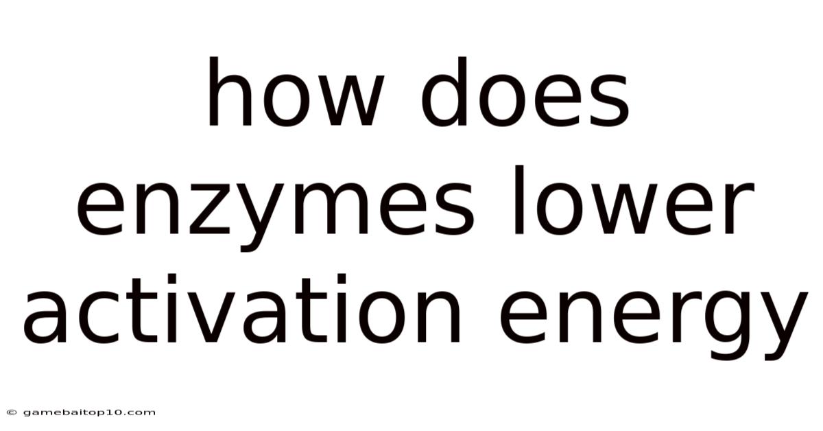 How Does Enzymes Lower Activation Energy