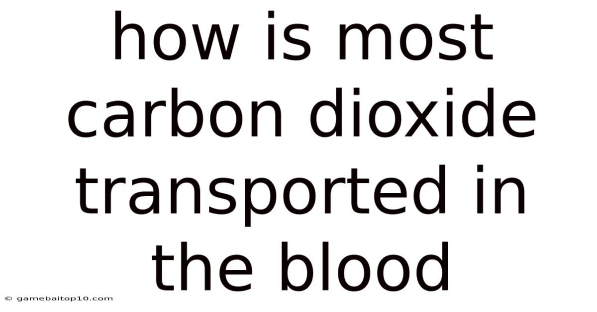 How Is Most Carbon Dioxide Transported In The Blood
