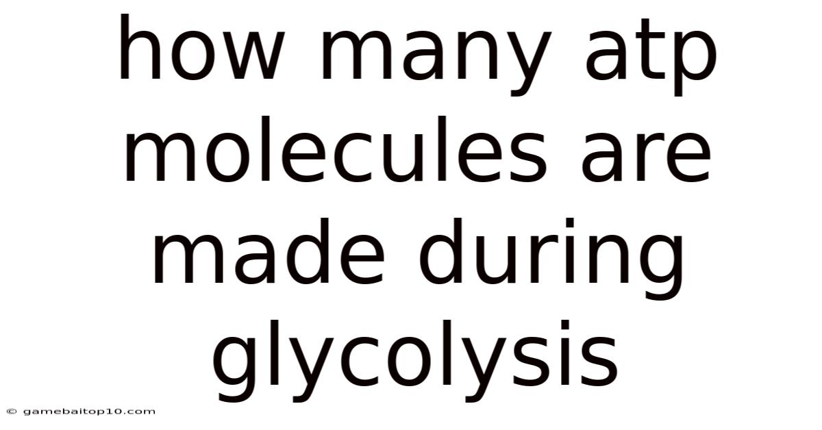 How Many Atp Molecules Are Made During Glycolysis