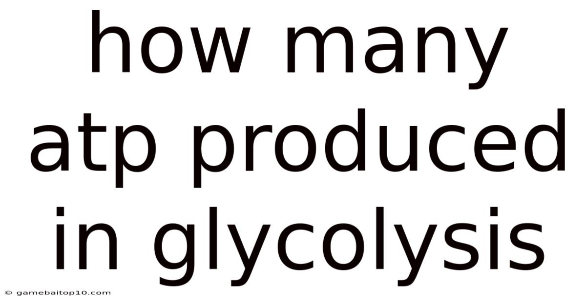 How Many Atp Produced In Glycolysis