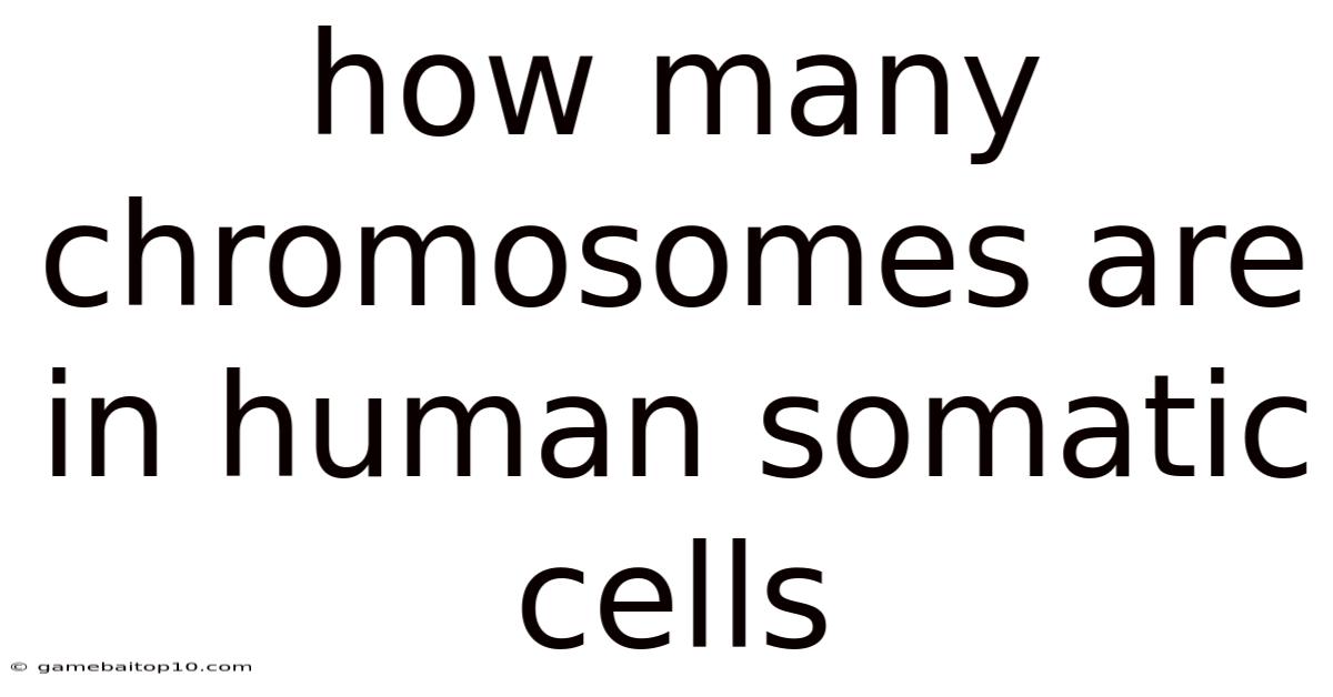 How Many Chromosomes Are In Human Somatic Cells