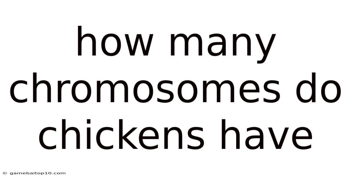How Many Chromosomes Do Chickens Have