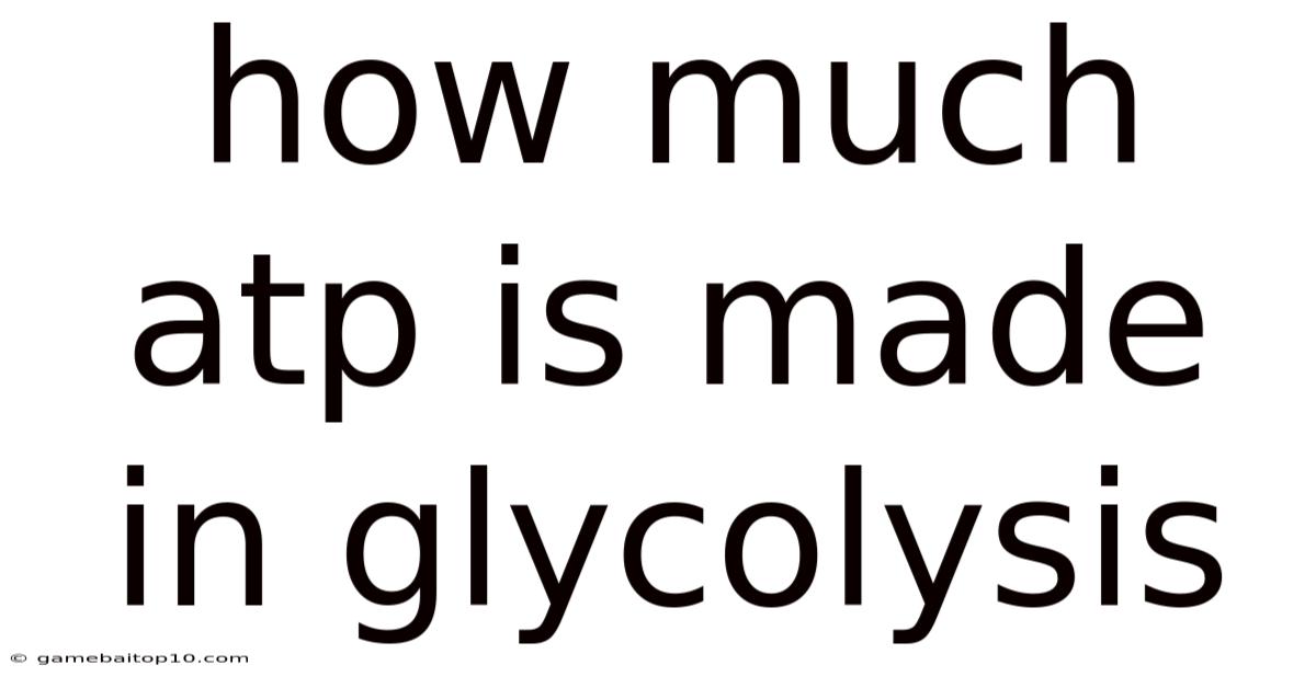 How Much Atp Is Made In Glycolysis