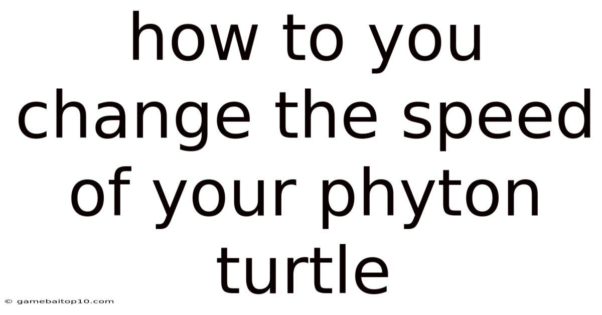 How To You Change The Speed Of Your Phyton Turtle