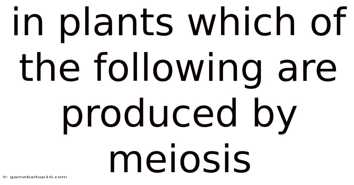 In Plants Which Of The Following Are Produced By Meiosis