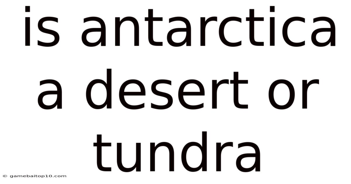 Is Antarctica A Desert Or Tundra