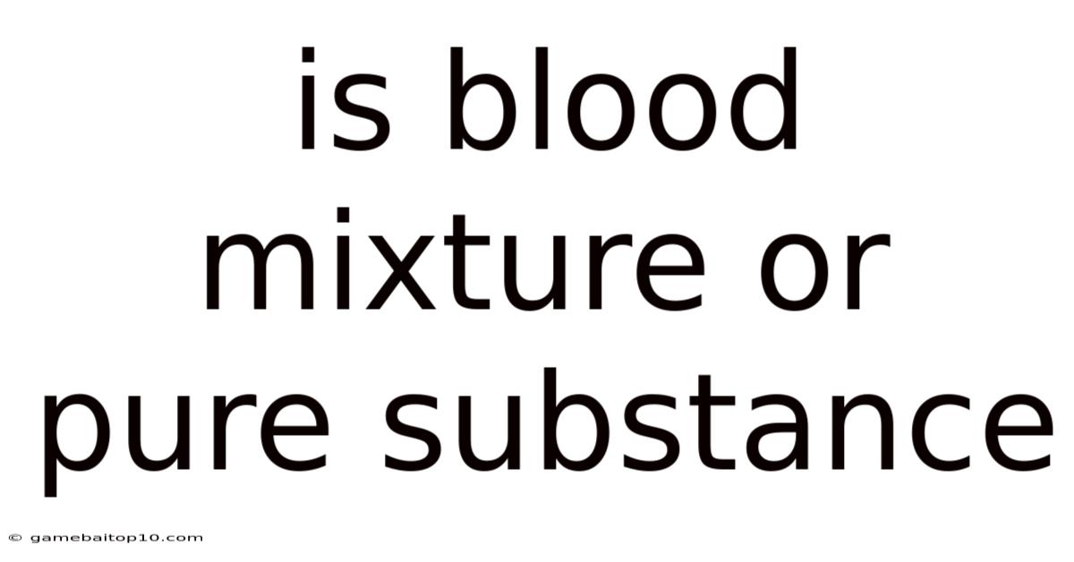 Is Blood Mixture Or Pure Substance