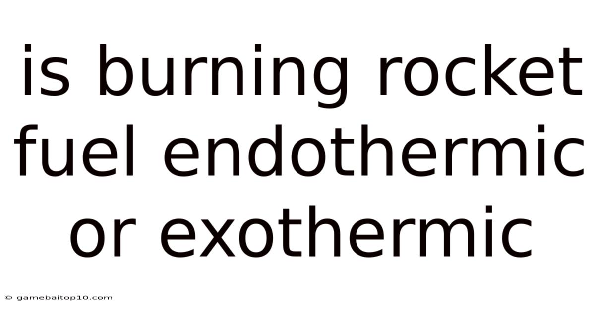 Is Burning Rocket Fuel Endothermic Or Exothermic