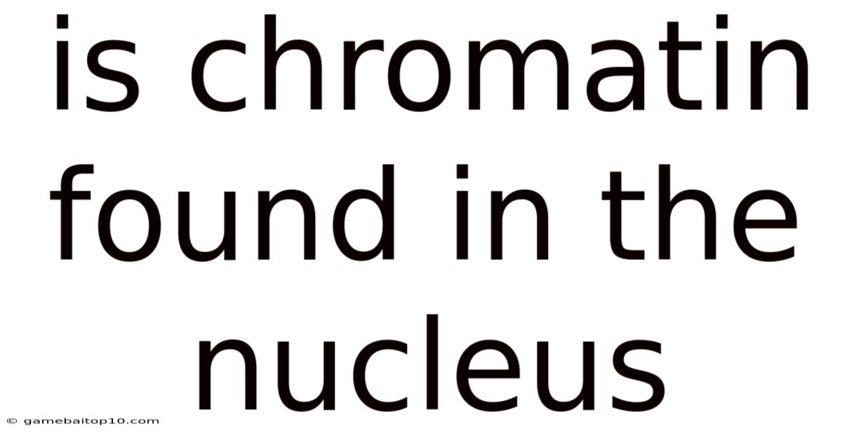 Is Chromatin Found In The Nucleus