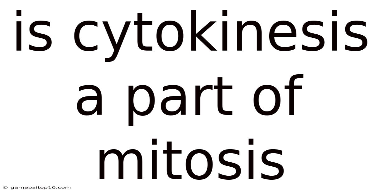 Is Cytokinesis A Part Of Mitosis