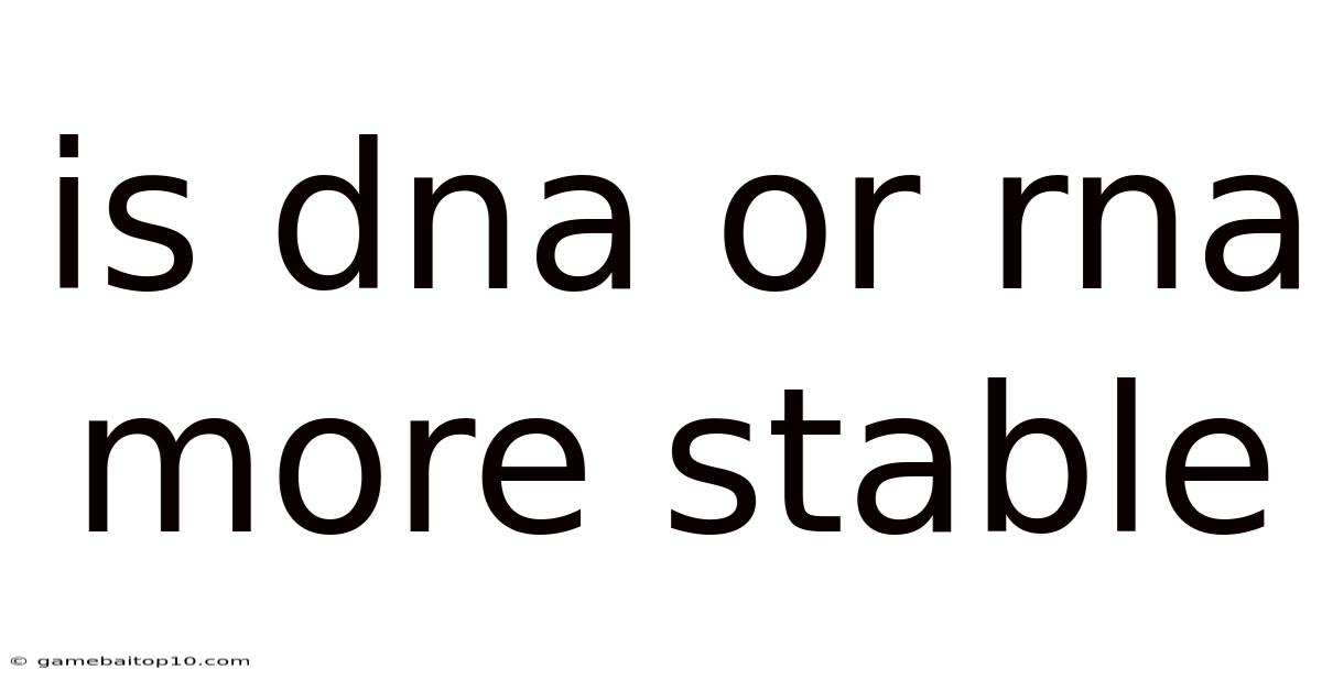 Is Dna Or Rna More Stable