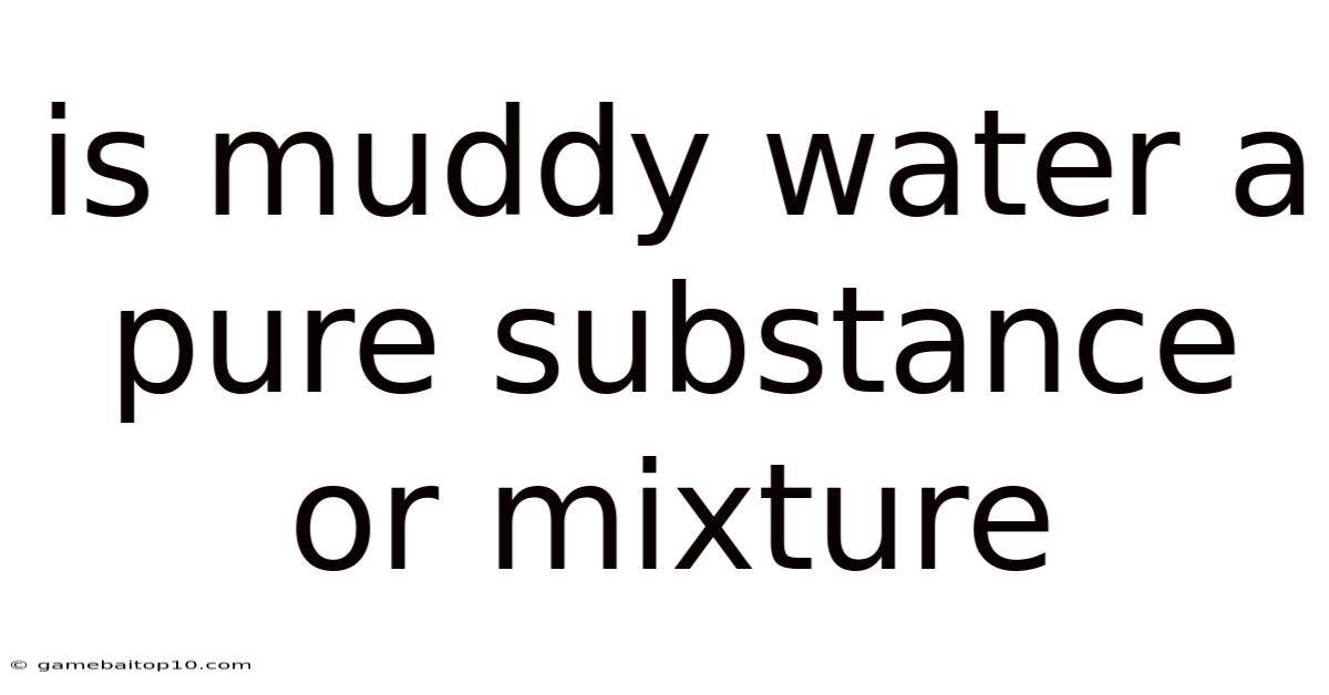 Is Muddy Water A Pure Substance Or Mixture